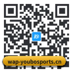 系统版 Android 二维码
